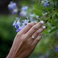 Notre zone d'activité pour ce service Réparation et mise à taille de bijoux d'exception avec certification à