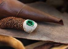 Nos prestations sur le secteur de Antibes 06160